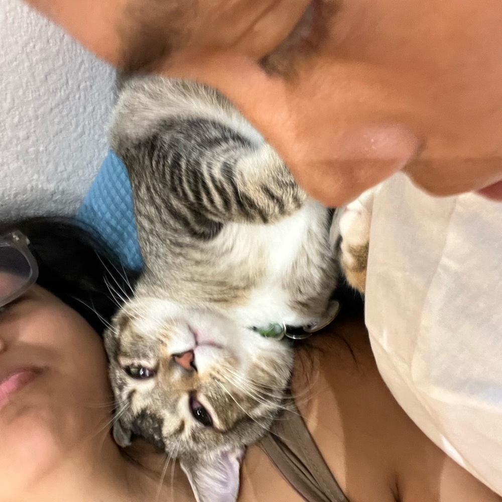 Meet your Posher, Alondra